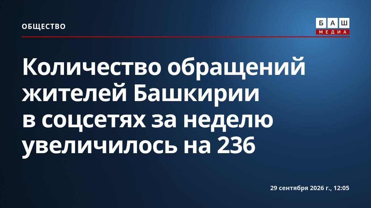 Количество обращений жителей Башкирии в соцсетях за неделю увеличилось на 236