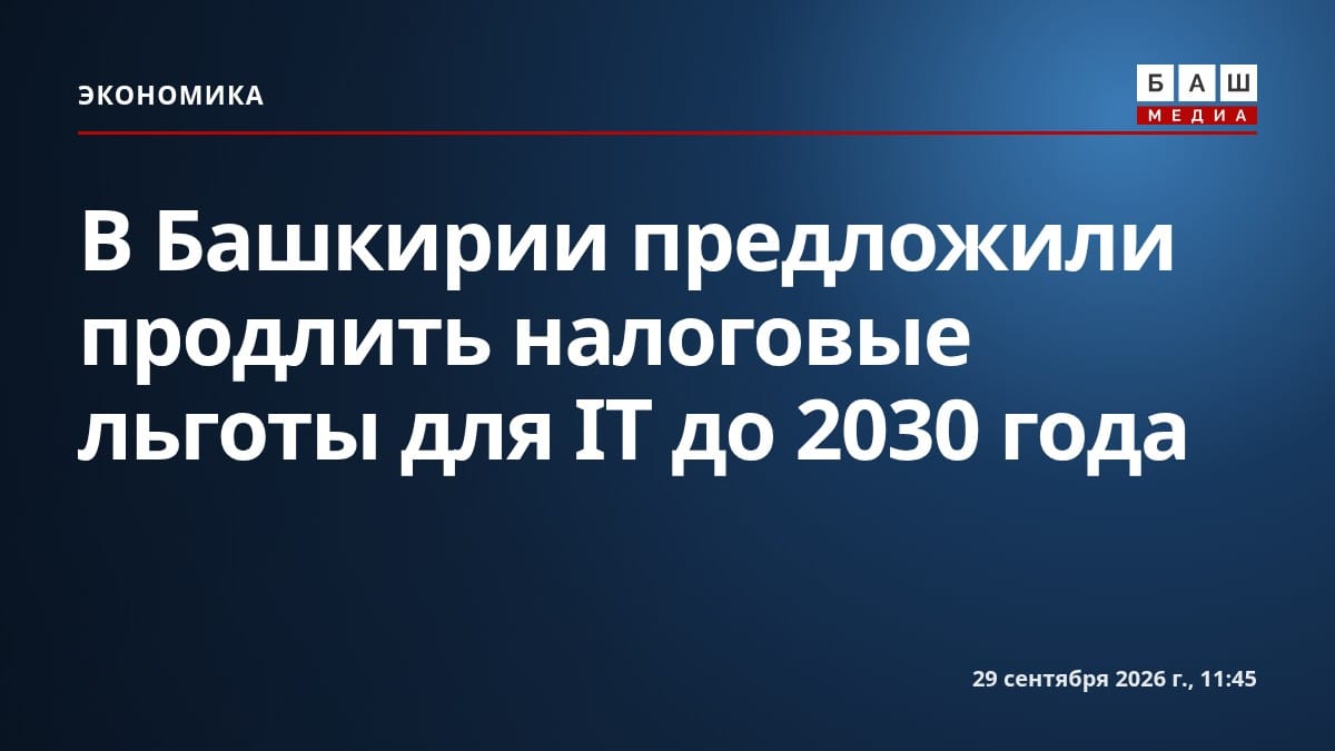 В Башкирии предложили продлить налоговые льготы для IT до 2030 года