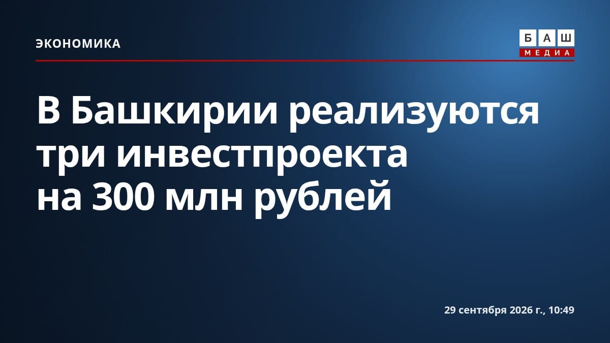 В Башкирии реализуются три инвестпроекта на 300 млн рублей