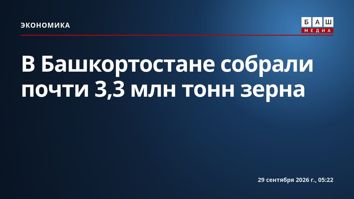 В Башкортостане собрали почти 3,3 млн тонн зерна