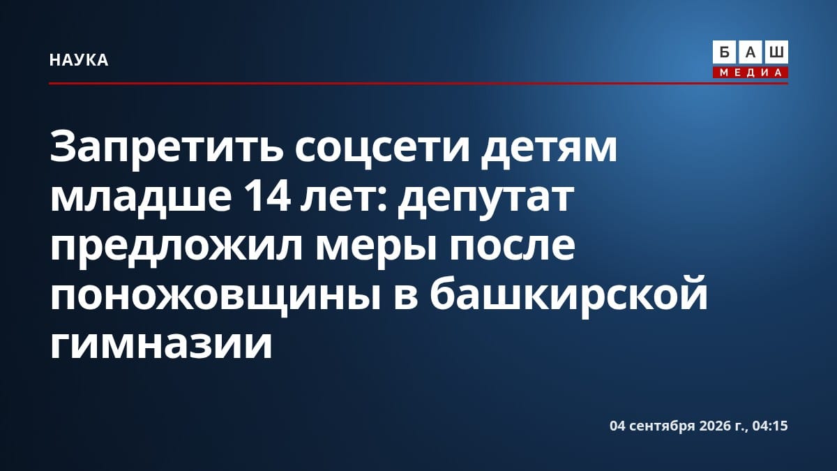 Запретить соцсети детям младше 14 лет: депутат предложил меры после поножовщины в башкирской гимназии