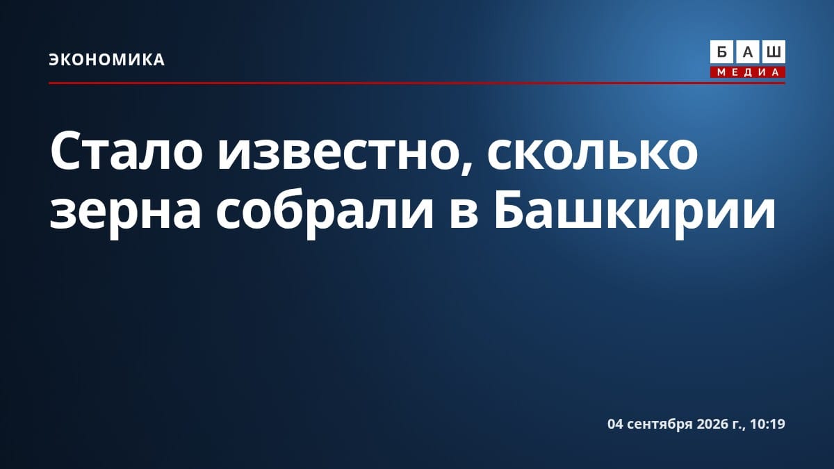 Стало известно, сколько зерна собрали в Башкирии