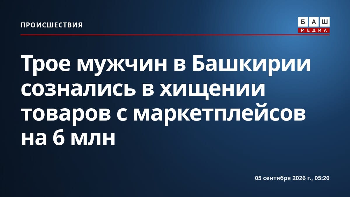 Трое мужчин в Башкирии сознались в хищении товаров с маркетплейсов на 6 млн