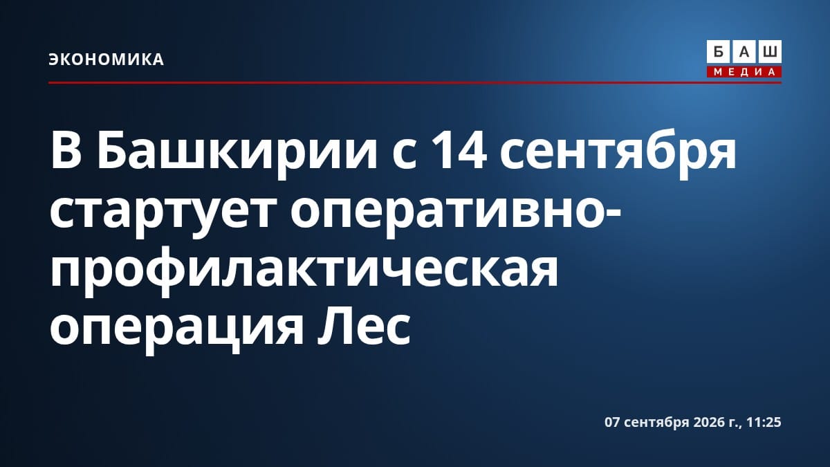 В Башкирии с 14 сентября стартует оперативно-профилактическая операция Лес