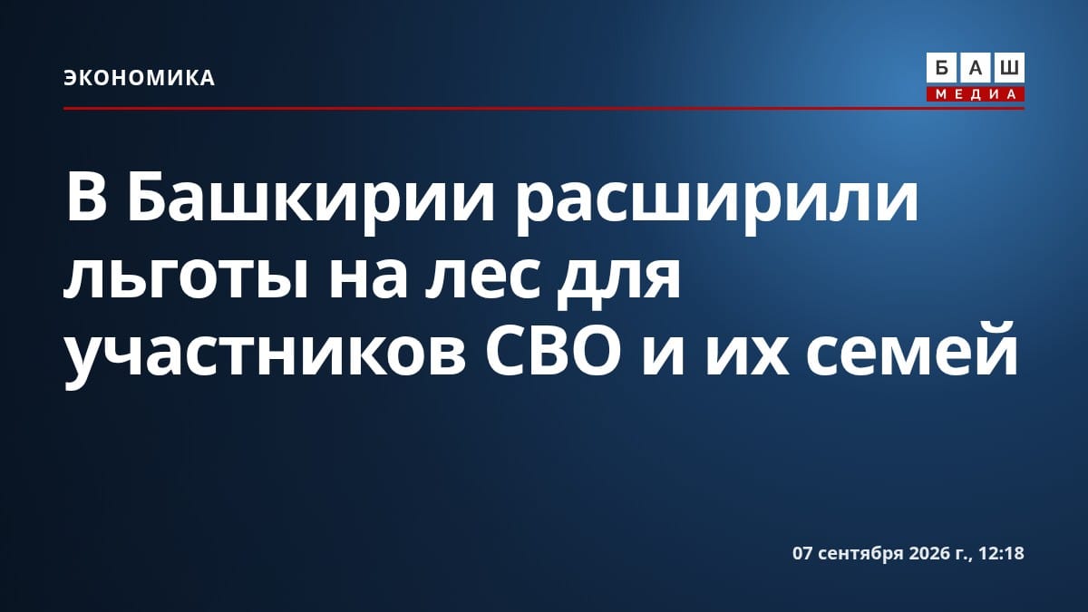 В Башкирии расширили льготы на лес для участников СВО и их семей