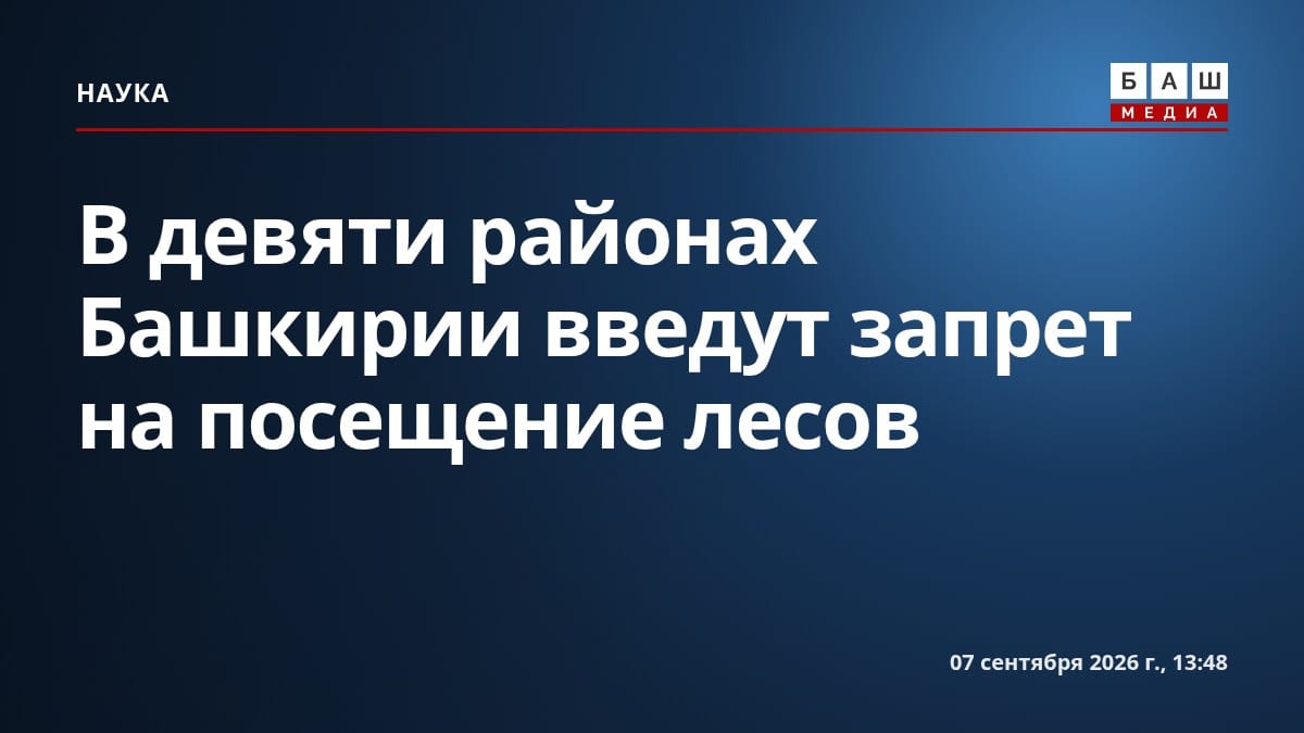 В девяти районах Башкирии введут запрет на посещение лесов