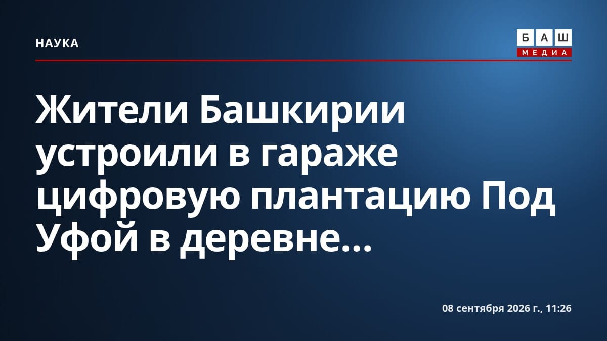 Жители Башкирии устроили в гараже цифровую плантацию Под Уфой в деревне...