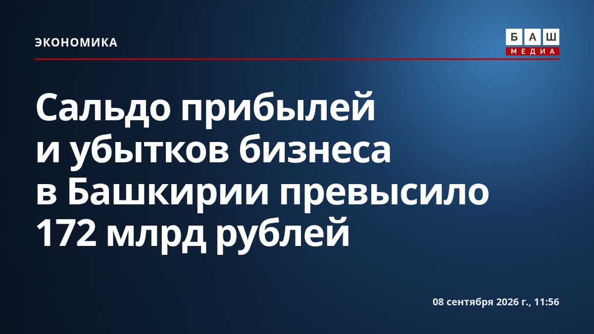 Сальдо прибылей и убытков бизнеса в Башкирии превысило 172 млрд рублей