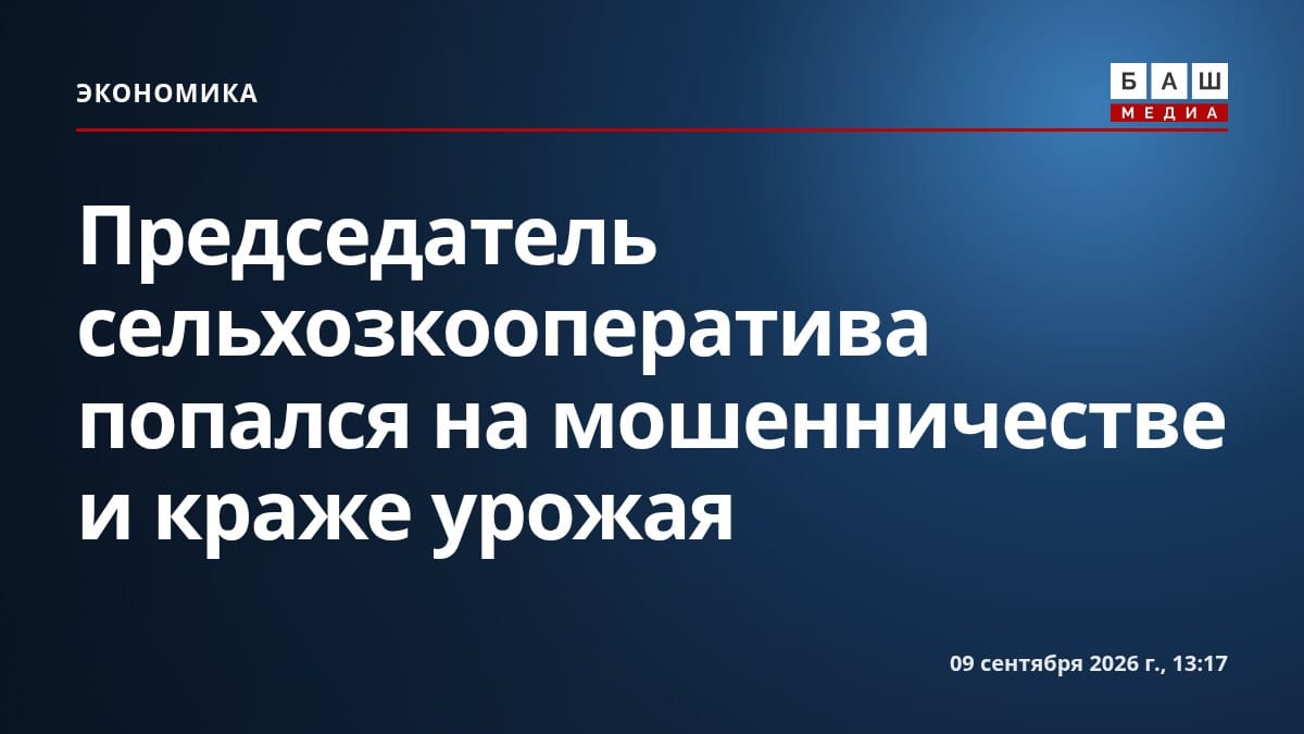 Председатель сельхозкооператива попался на мошенничестве и краже урожая
