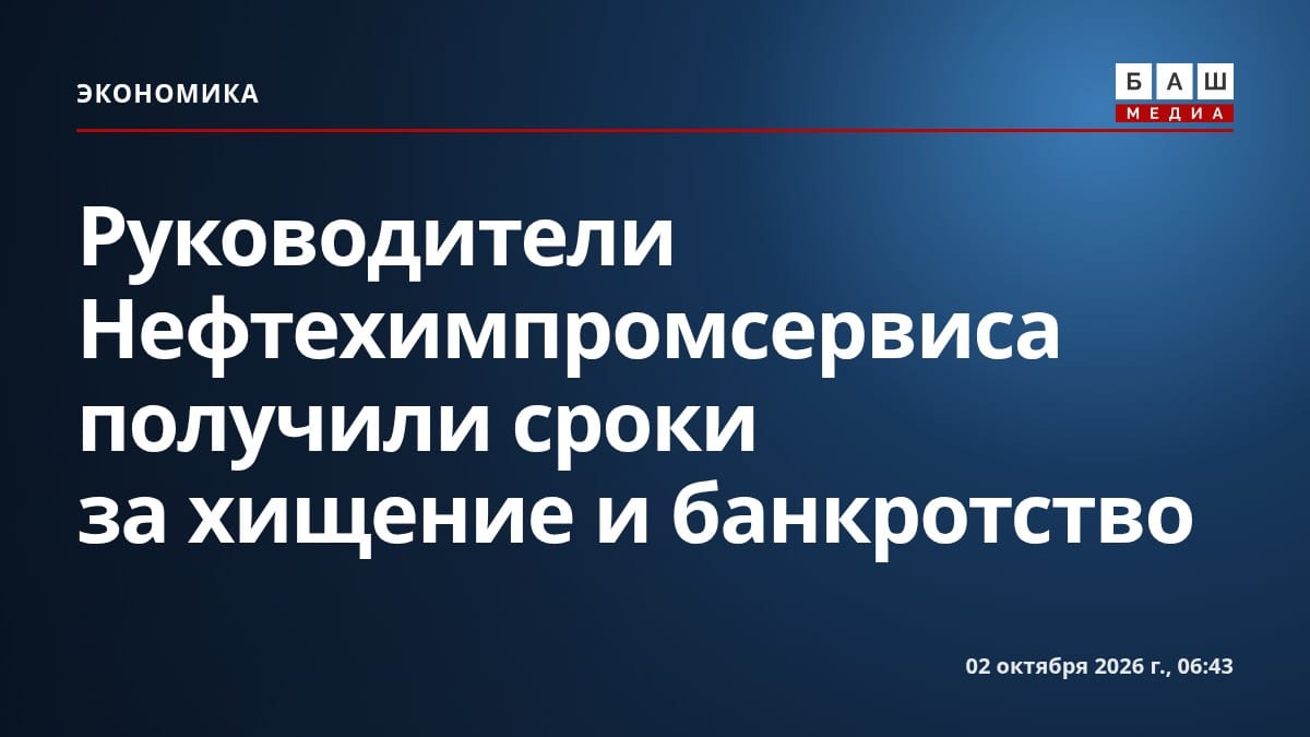 Руководители Нефтехимпромсервиса получили сроки за хищение и банкротство