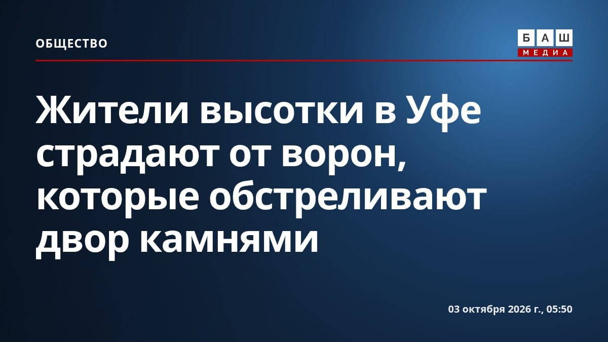 Жители высотки в Уфе страдают от ворон, которые обстреливают двор камнями