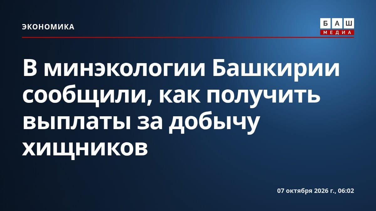 В минэкологии Башкирии сообщили, как получить выплаты за добычу хищников