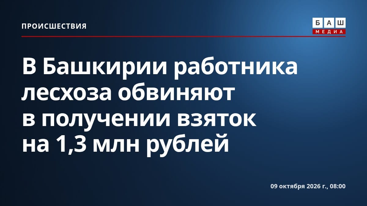 В Башкирии работника лесхоза обвиняют в получении взяток на 1,3 млн рублей