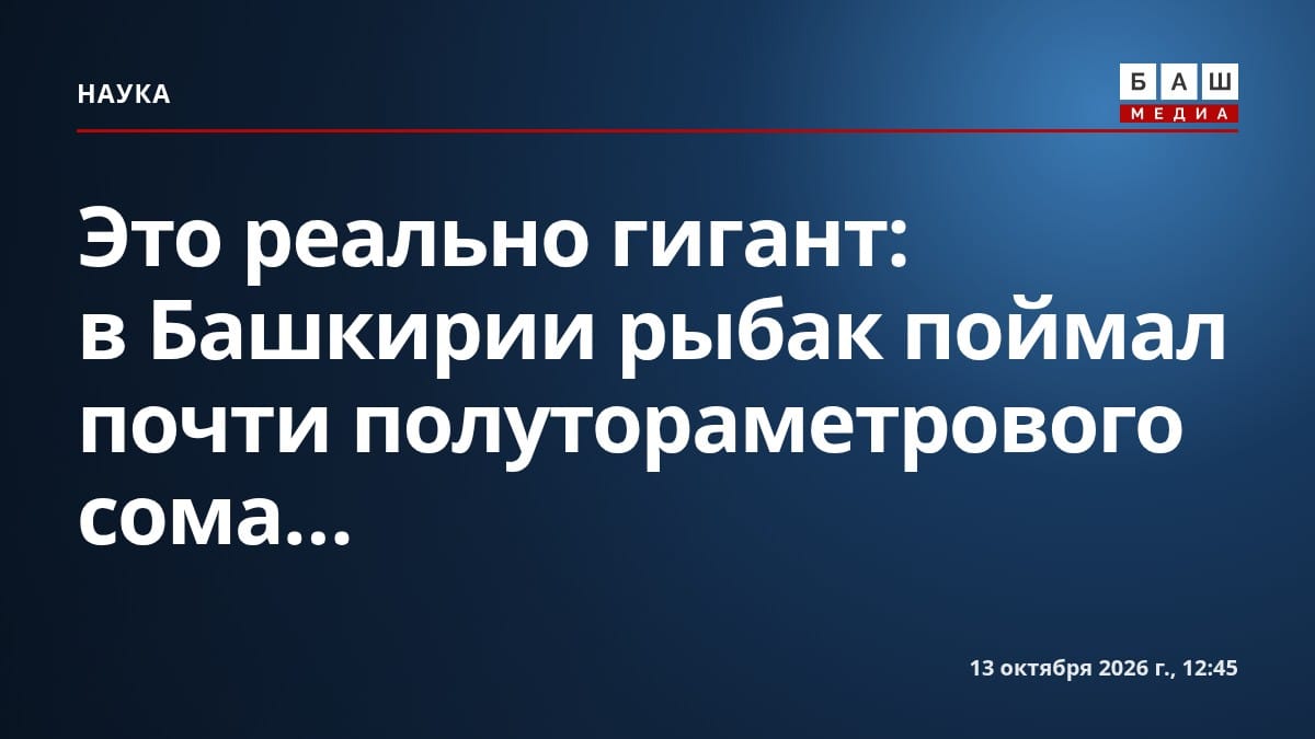 Это реально гигант : в Башкирии рыбак поймал почти полутораметрового сома...
