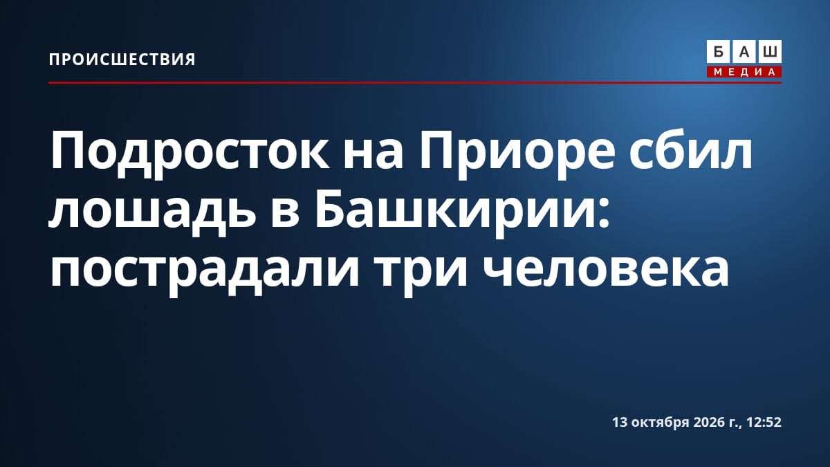 Подросток на Приоре сбил лошадь в Башкирии: пострадали три человека