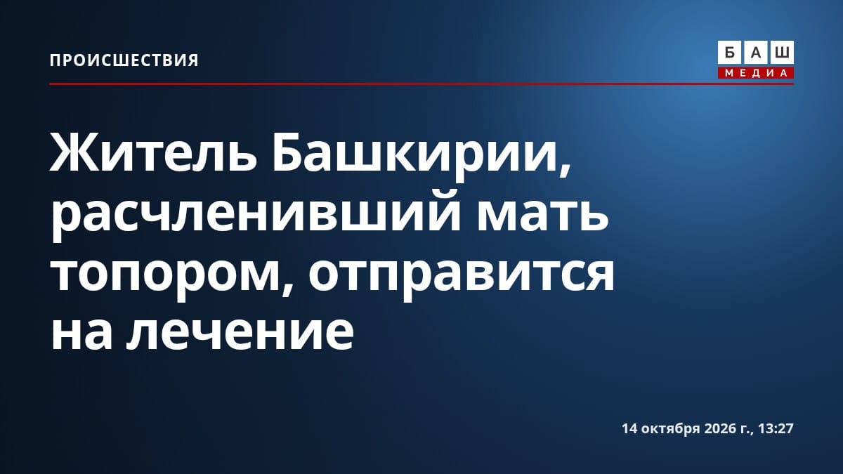 Житель Башкирии, расчленивший мать топором, отправится на лечение