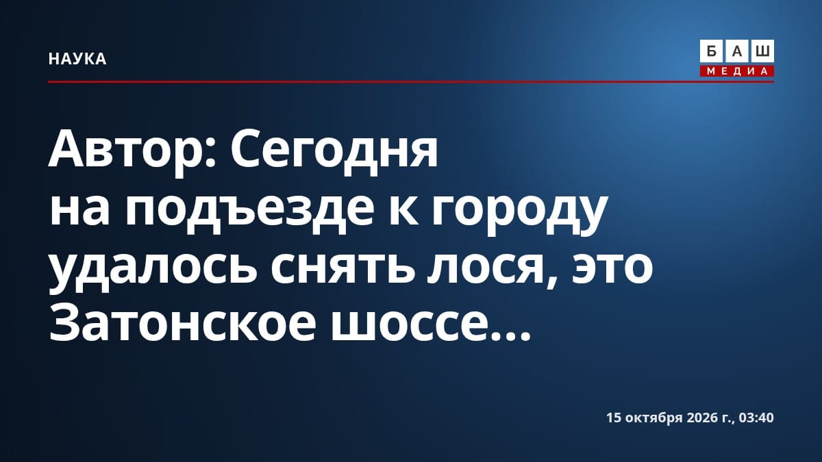 Автор: Сегодня на подъезде к городу удалось снять лося, это Затонское шоссе...