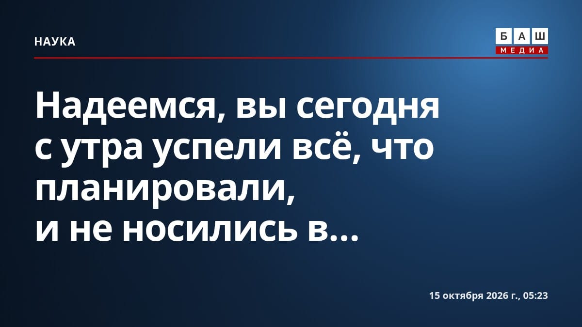 Надеемся, вы сегодня с утра успели всё, что планировали, и не носились в...