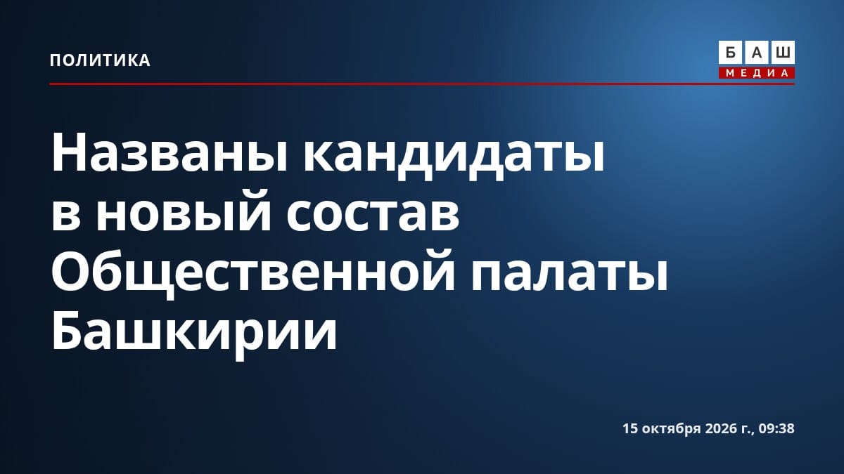 Названы кандидаты в новый состав Общественной палаты Башкирии