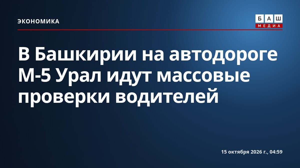 В Башкирии на автодороге М-5 Урал идут массовые проверки водителей
