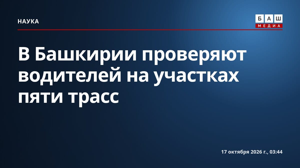 В Башкирии проверяют водителей на участках пяти трасс