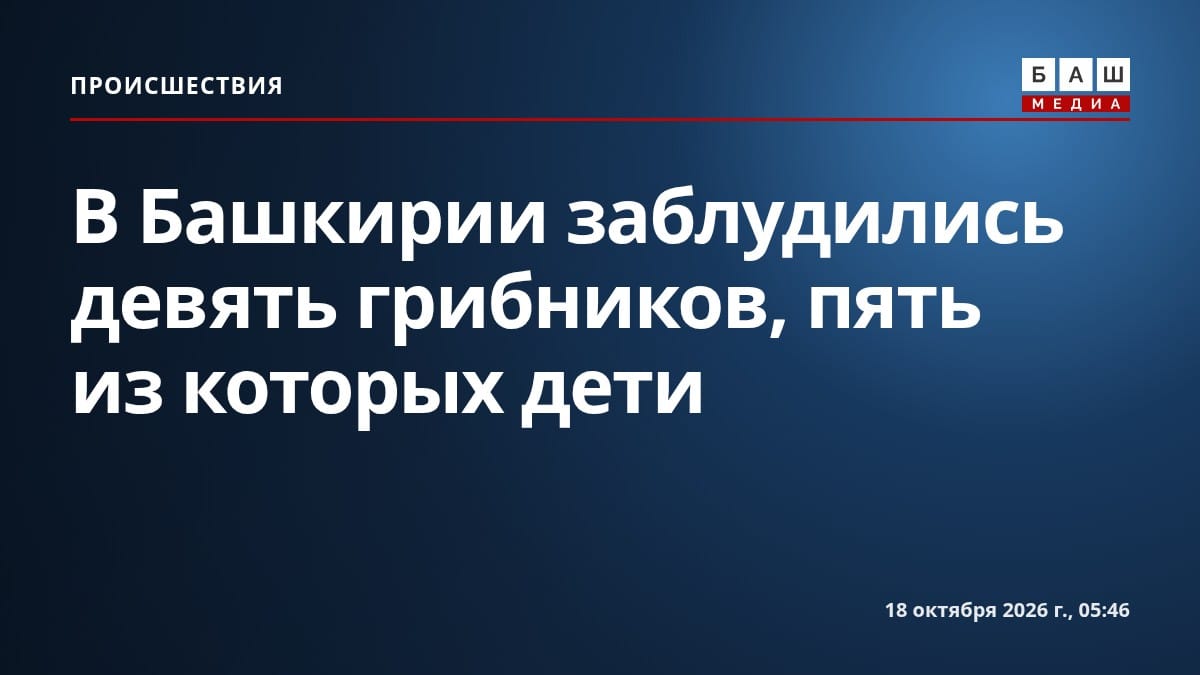 В Башкирии заблудились девять грибников, пять из которых дети
