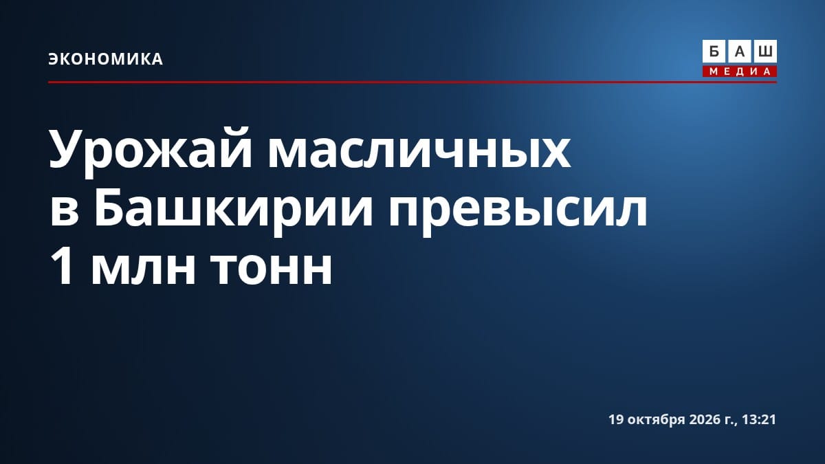 Урожай масличных в Башкирии превысил 1 млн тонн