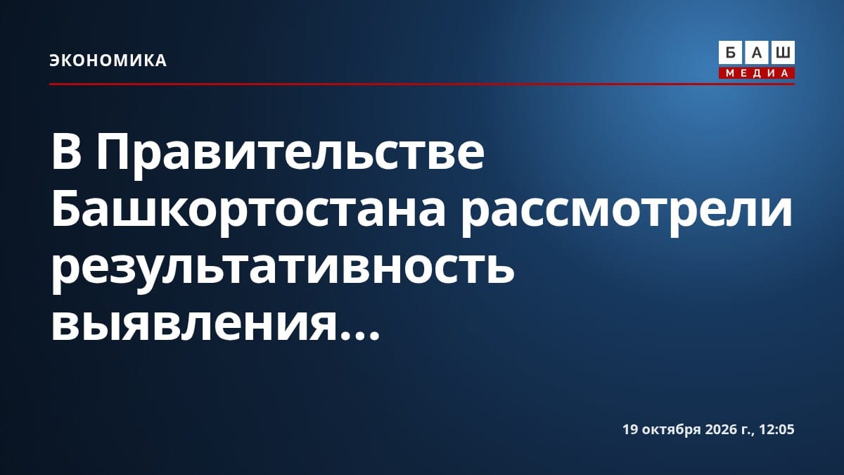 В Правительстве Башкортостана рассмотрели результативность выявления...