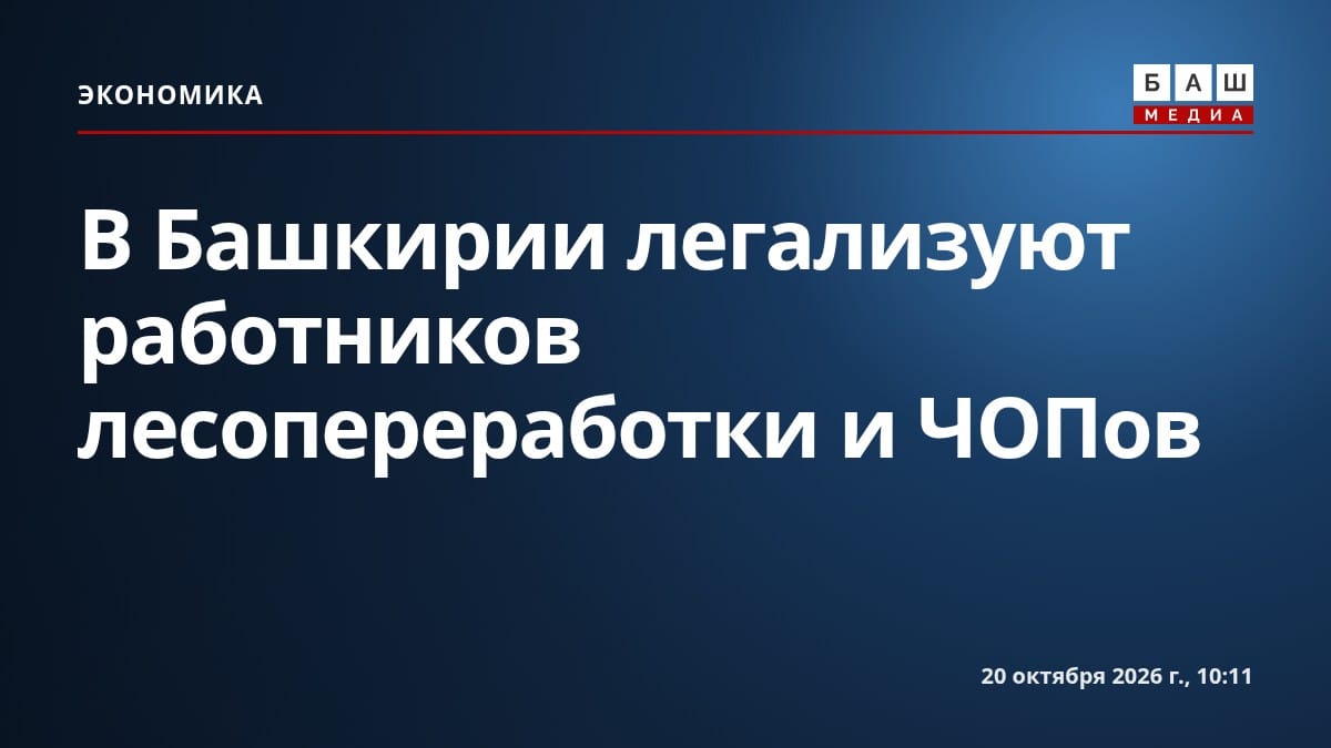 В Башкирии легализуют работников лесопереработки и ЧОПов