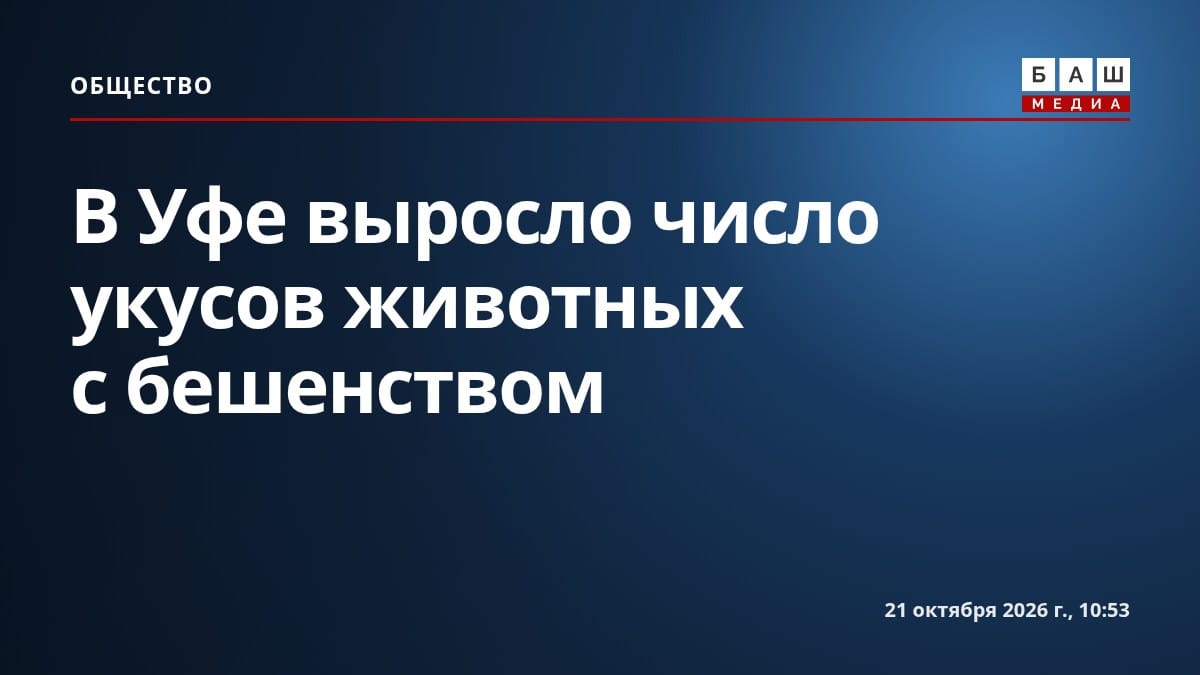 В Уфе выросло число укусов животных с бешенством