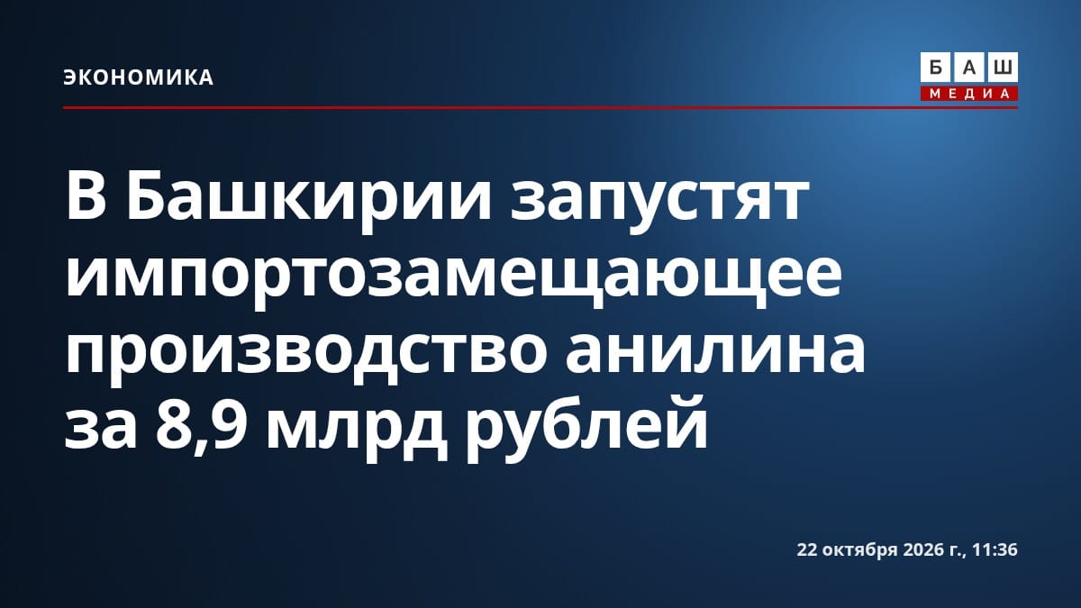 В Башкирии запустят импортозамещающее производство анилина за 8,9 млрд рублей