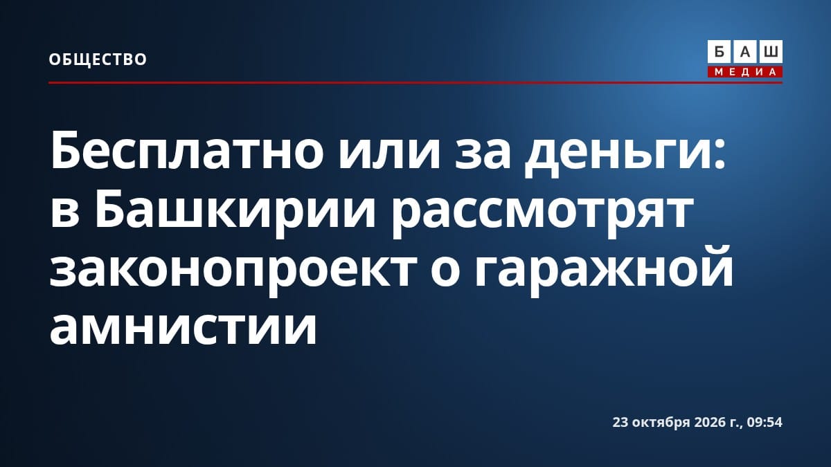 Бесплатно или за деньги: в Башкирии рассмотрят законопроект о гаражной амнистии
