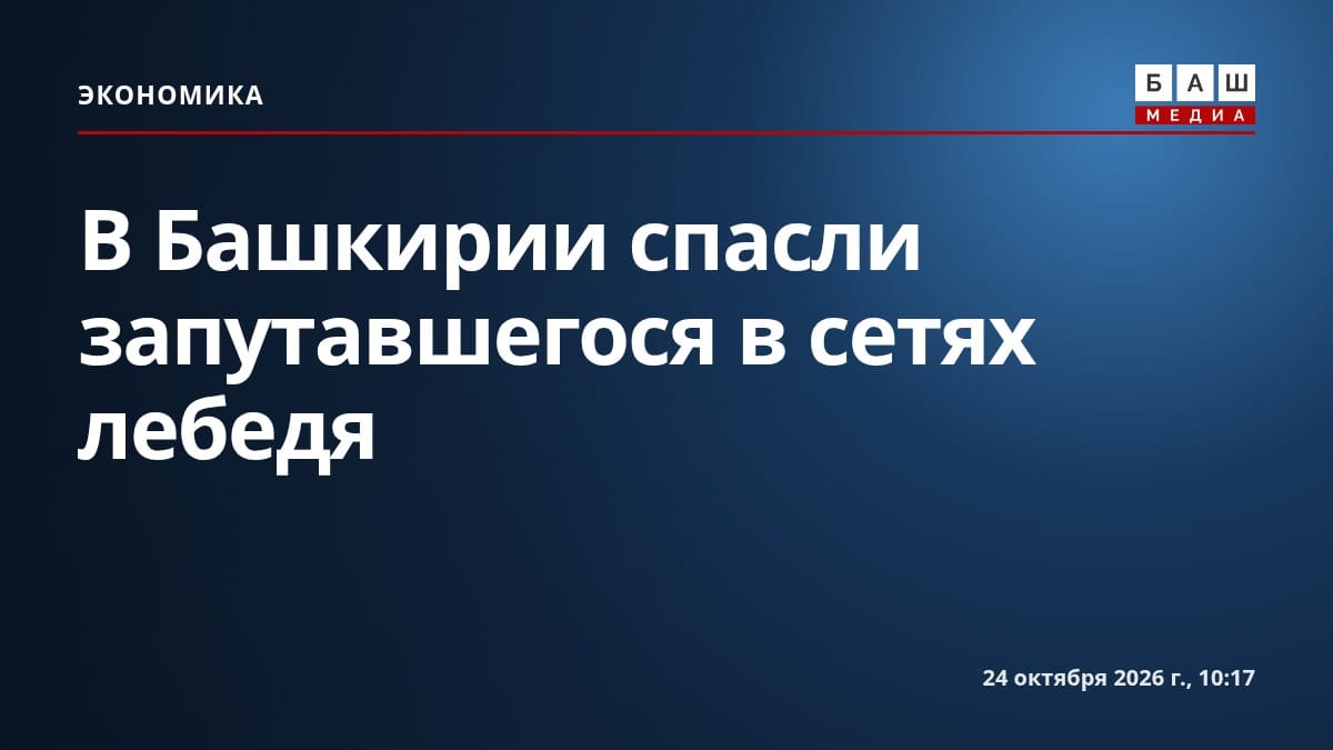 В Башкирии спасли запутавшегося в сетях лебедя