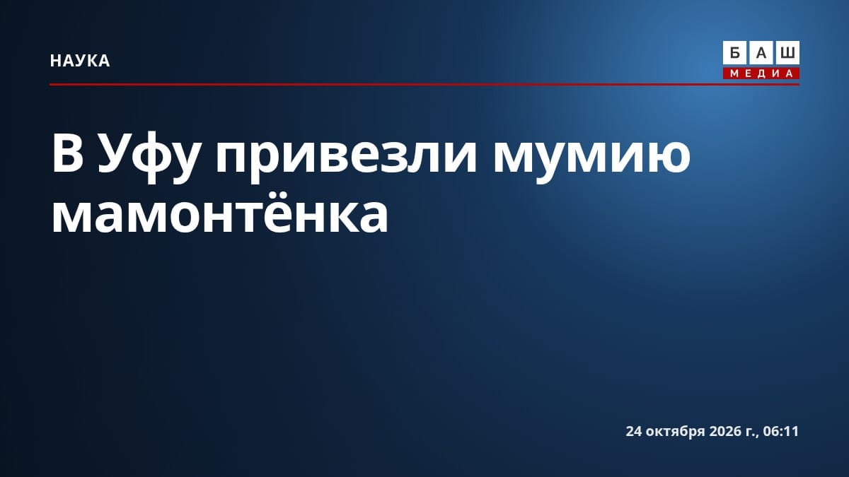 В Уфу привезли мумию мамонтёнка