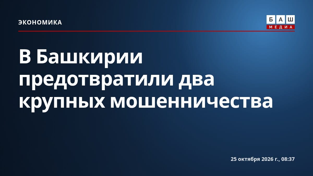 В Башкирии предотвратили два крупных мошенничества