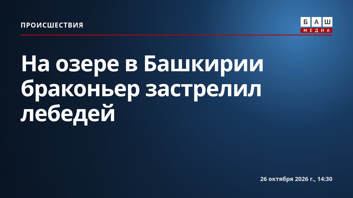 На озере в Башкирии браконьер застрелил лебедей