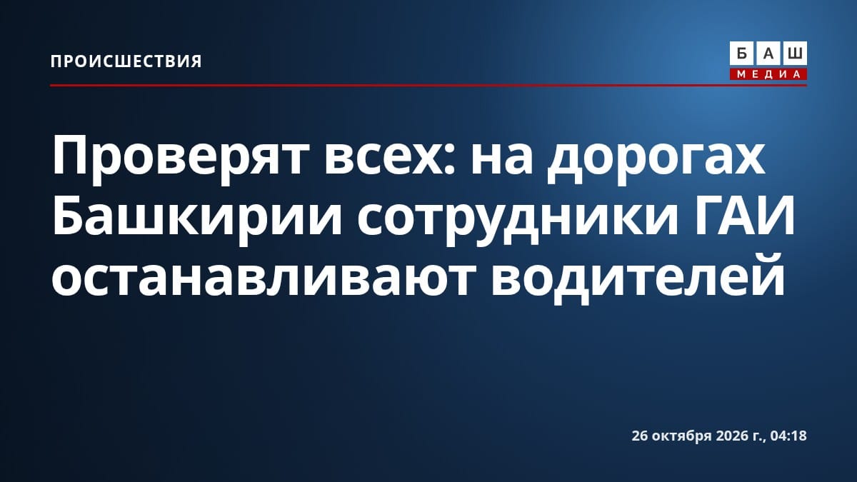 Проверят всех: на дорогах Башкирии сотрудники ГАИ останавливают водителей
