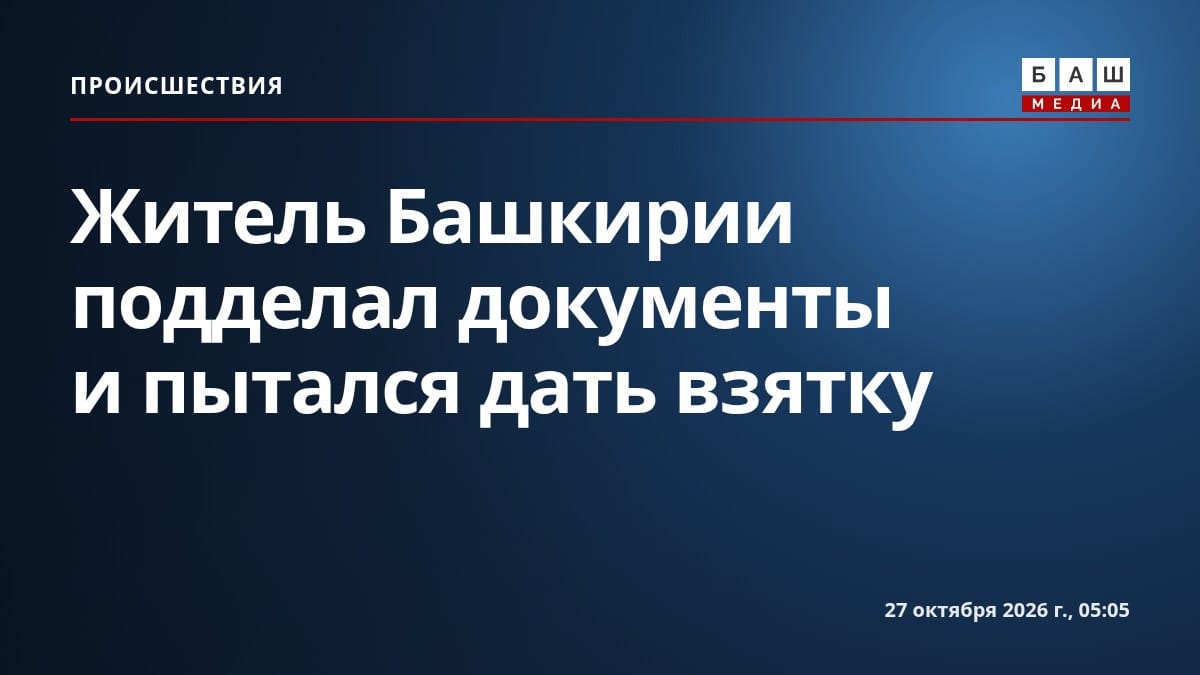 Житель Башкирии подделал документы и пытался дать взятку