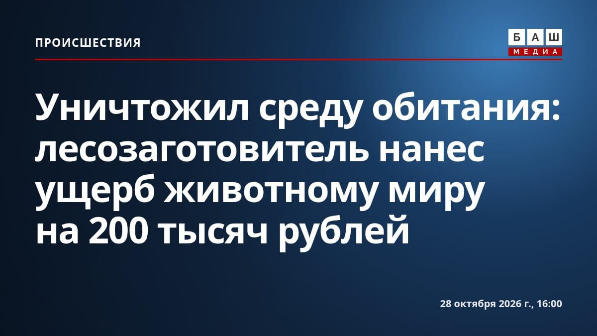 Уничтожил среду обитания: лесозаготовитель нанес ущерб животному миру на 200 тысяч рублей