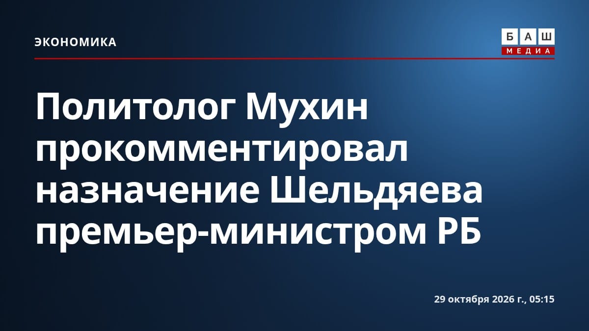 Политолог Мухин прокомментировал назначение Шельдяева премьер-министром РБ