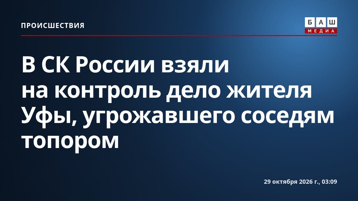 В СК России взяли на контроль дело жителя Уфы, угрожавшего соседям топором
