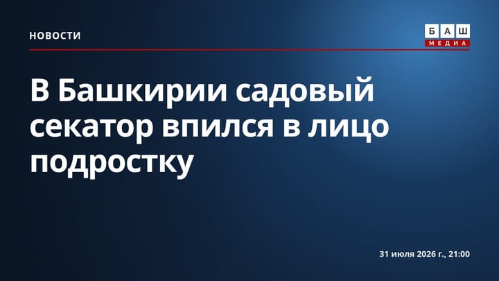 В Башкирии садовый секатор впился в лицо подростку