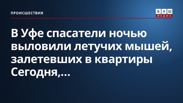 В Уфе спасатели ночью выловили летучих мышей, залетевших в квартиры Сегодня,...