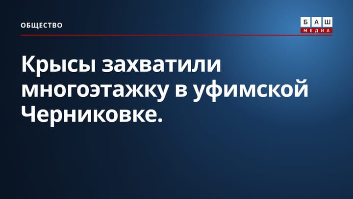 Крысы захватили многоэтажку в уфимской Черниковке.