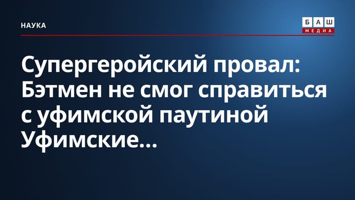 Супергеройский провал: Бэтмен не смог справиться с уфимской паутиной Уфимские...