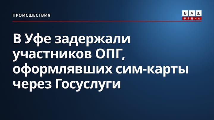 В Уфе задержали участников ОПГ, оформлявших сим-карты через Госуслуги