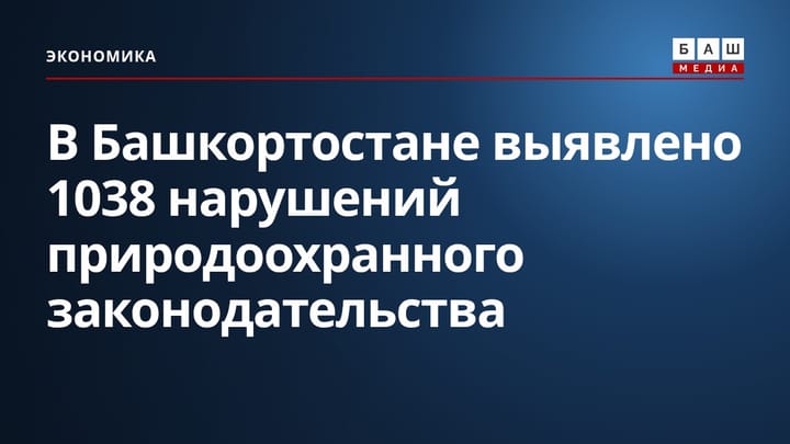 В Башкортостане выявлено 1038 нарушений природоохранного законодательства