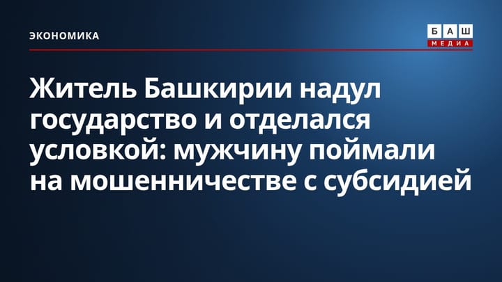Житель Башкирии надул государство и отделался условкой : мужчину поймали на мошенничестве с субсидией