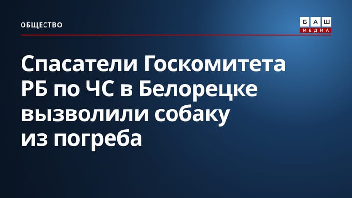 Спасатели Госкомитета РБ по ЧС в Белорецке вызволили собаку из погреба