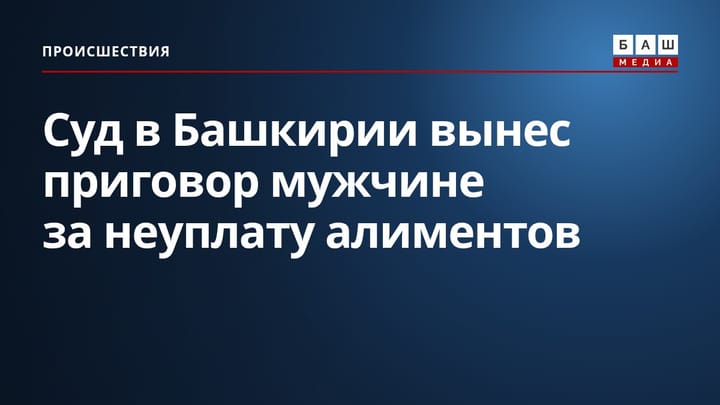 Суд в Башкирии вынес приговор мужчине за неуплату алиментов